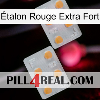 Étalon Rouge Extra Fort 25